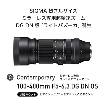 Amazon.co.jp: シグマ(Sigma) レンズ 100-400mm F5-6.3 DG DN