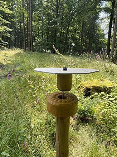 Wildlutscher Leckstein Honig | Extra Harter Wild- Leckstein | Wildbindendes Lockmittel| für Schwarzwild, Rotwild und Raubwild. |Wochenlange Nutzungsdauer | 1,8 kg (14,95 €/kg)