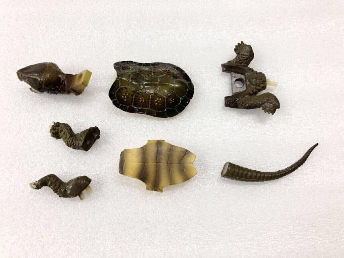 海洋堂 チョコQ シークレット オオアタマガメ A・B2種セット 【公式通販】