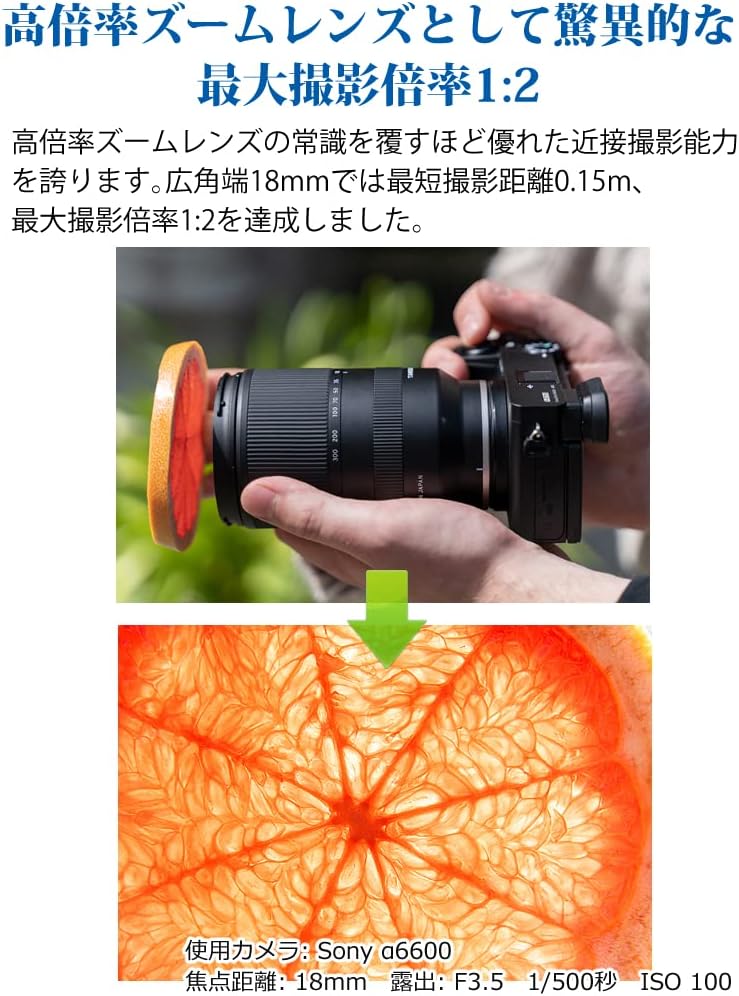 タムロン 18-300mm F3.5-6.3 Di-A VC VXD ソニーEマウント用 B061S