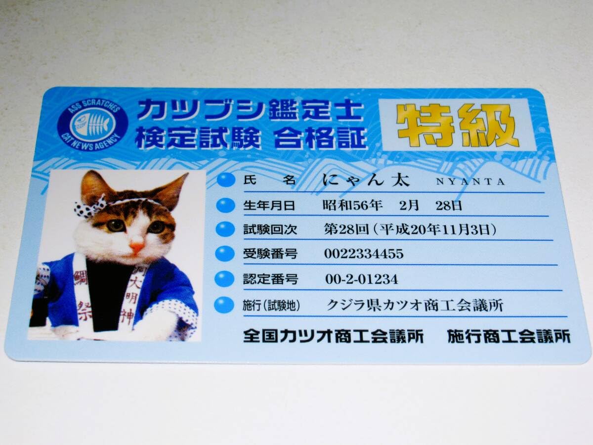 Amazon.co.jp: なめ猫 にゃん太 カツブシ鑑定士 検定試験 合格証