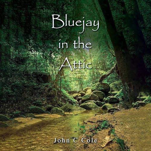 Bluejay in the Attic cover art