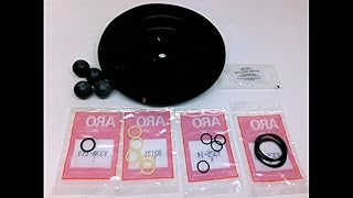 Diaphragm Pump Repair Kit, Fluid
