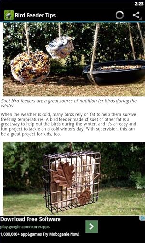 Diy Bird Feeders #TOP7
