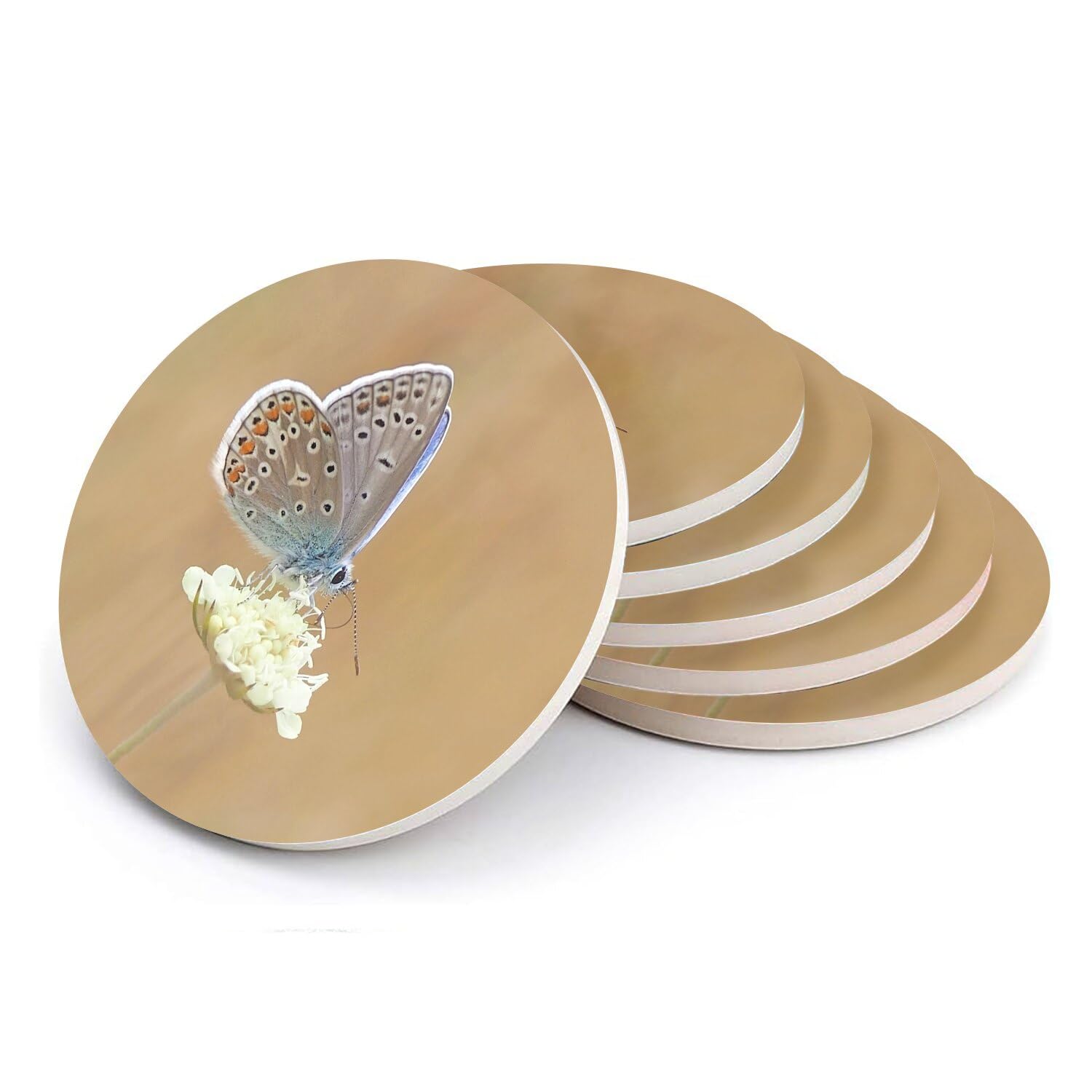 Sous-verre ronds céramique papillon bleu protège table anti tache lot de 6