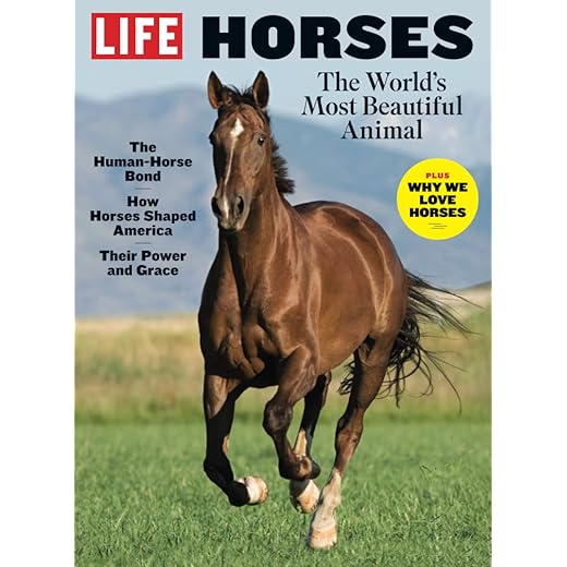 LIFE Horses