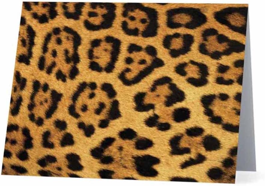 Blank Note Cards - Boxed Set of 15 - Stationery Gift Item - Office Business School Supplies (LEOPARD PRINT)