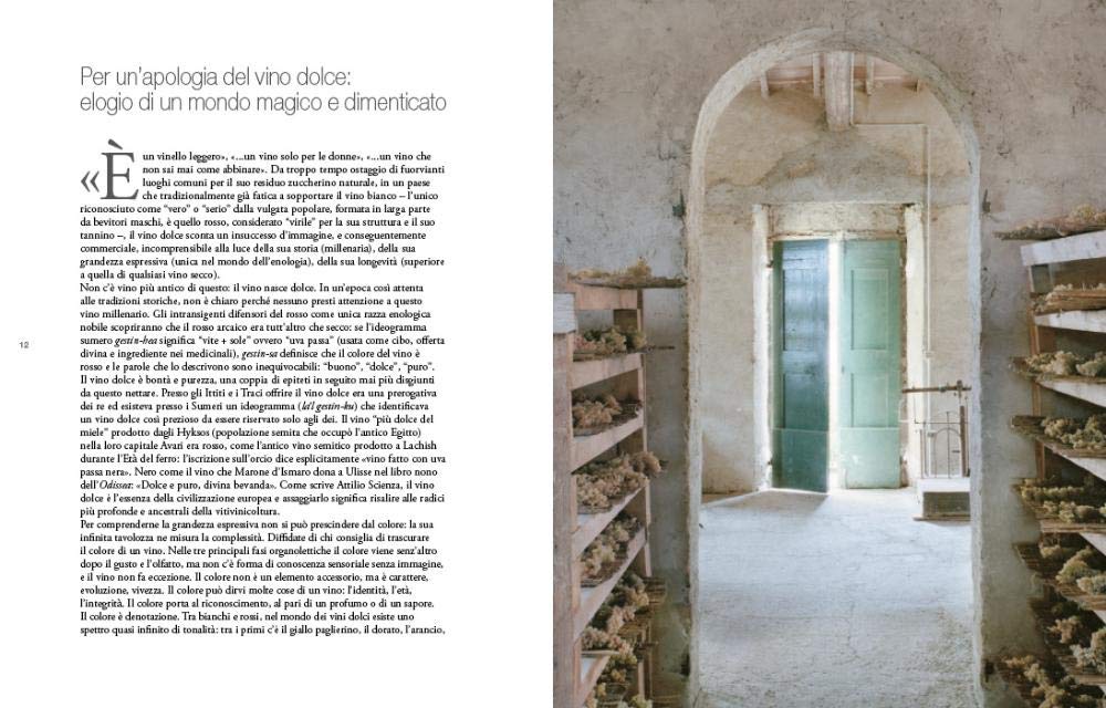Il grande libro dei vini dolci d'Italia