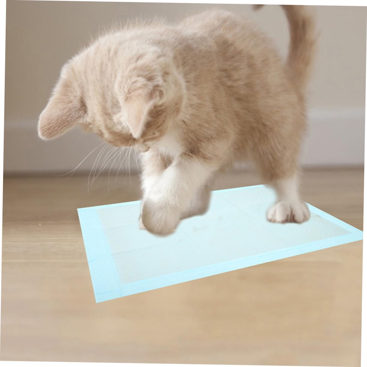 BESPORTBLE Dog Washable Pee Pads 100pcs Ultra Absorbent Pet Training Mats for Indoor Dogs