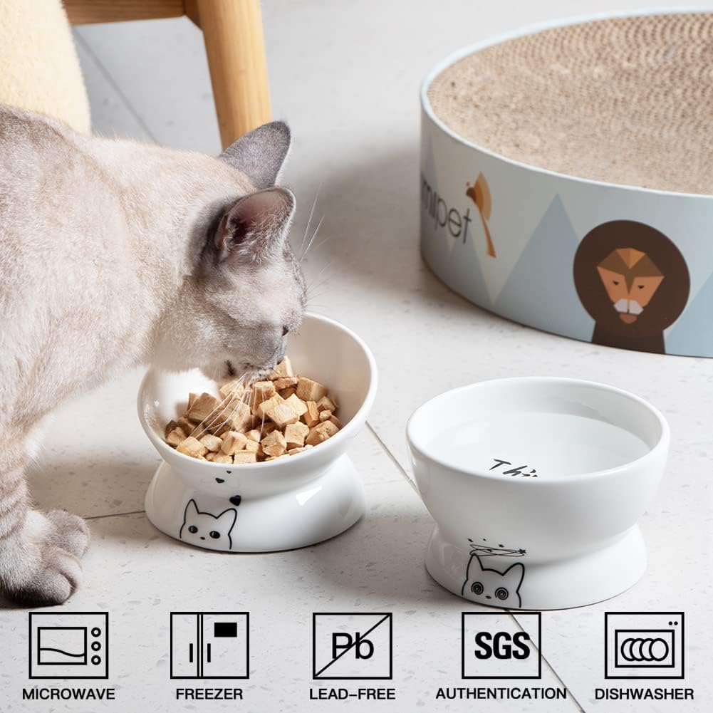 Elevated Cat Food & Water Bowls
