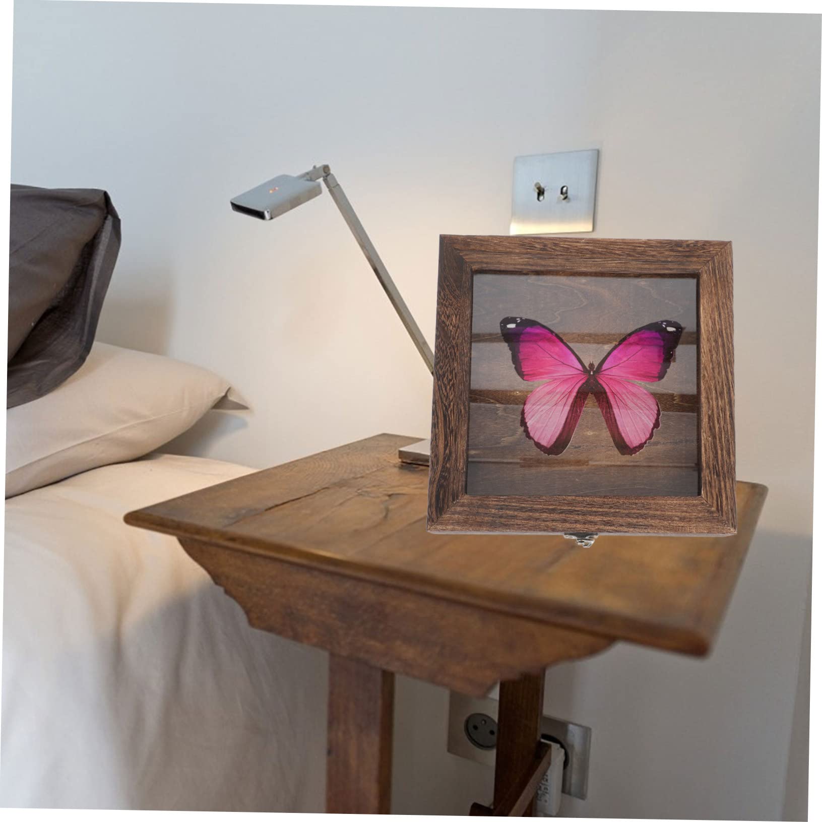 Caja de Muestras de Insectos Tapa Acrílica Vintage de Madera
