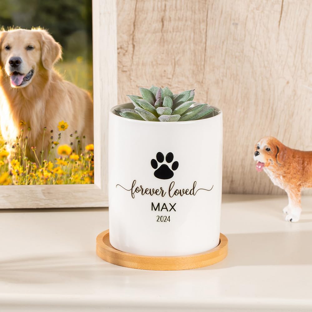 View 3
