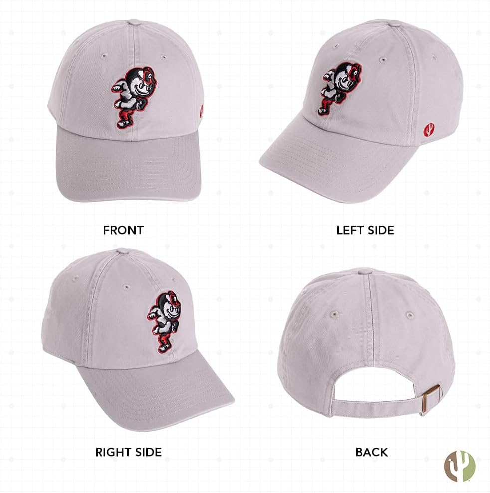 Desert Cactus Ohio State University Baseball Hat OSU Buckeyes Brimmed Embroidered Cap Adjustable Cloth Strap Adult Type B - Image 3