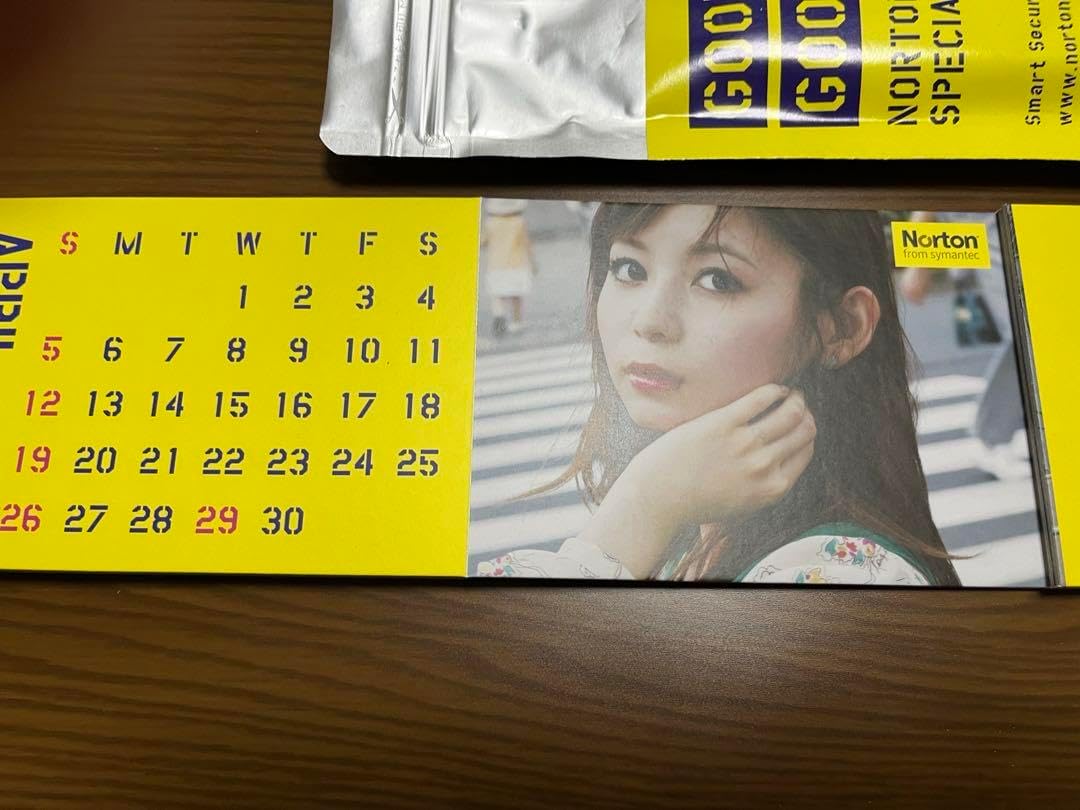 中川翔子 （レア商品シリアルナンバー有り2009年カレンダー 中川