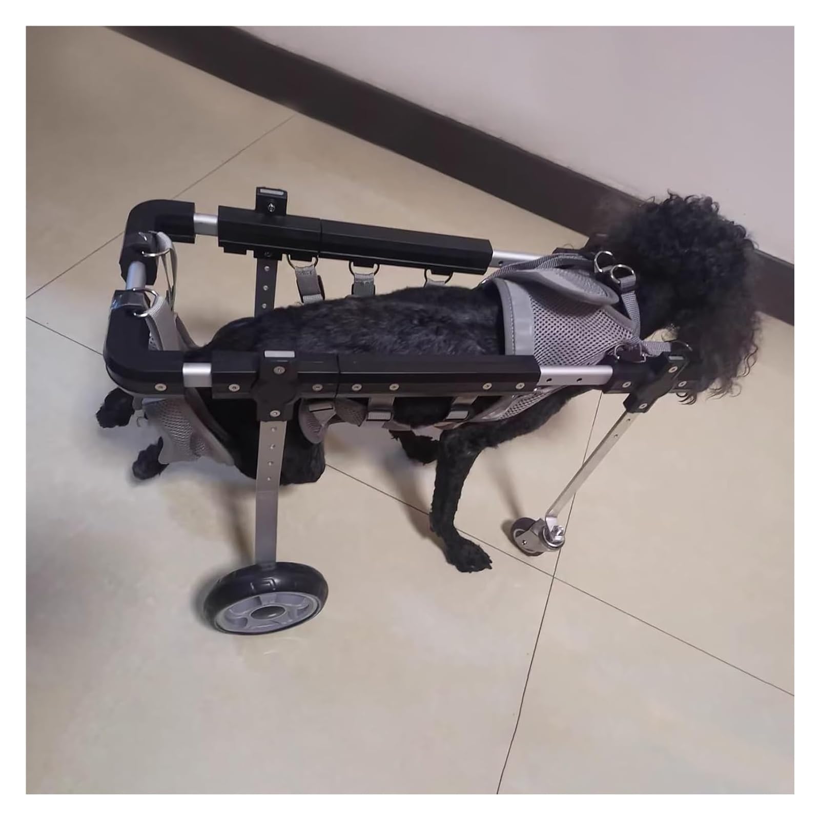 Fauteuil roulant pour chien à 4 roues, chariot de transport réglable et aide mobilité