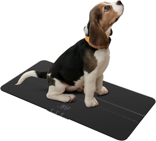 animaux de compagnie 100 kg / 220lbs avec écr Pèse-personne
