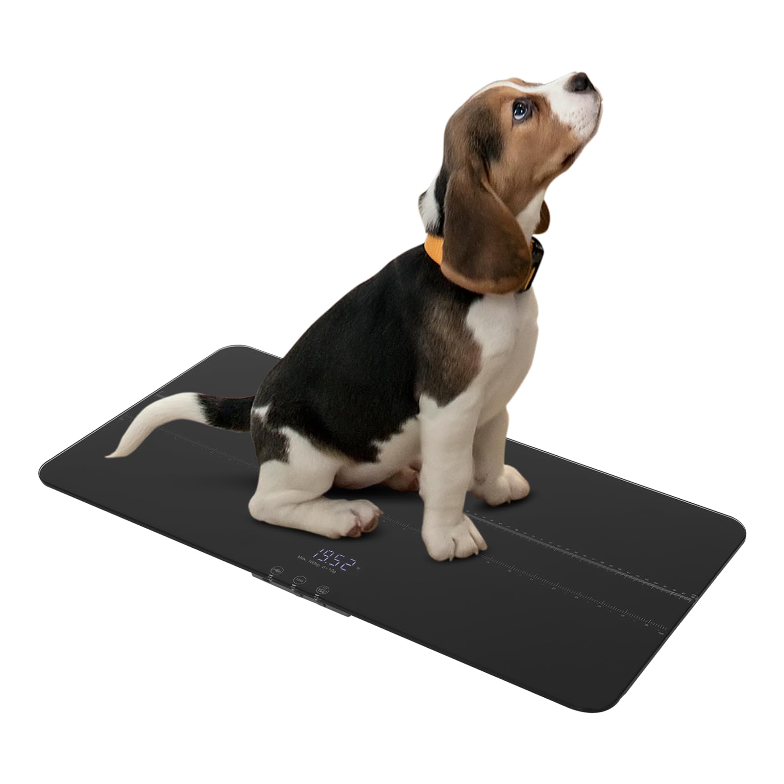 Hundewaage bis 100kg Tierwaage 10 g Genauigkeit große Plattform LED-Anzeige Tara-Funktion Schwarz