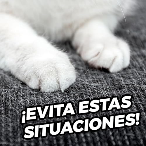 The inventions Emporium Protezione per divano