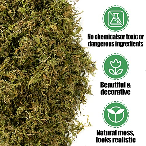 Alphatool 17Oz Fake Moss For Crafts - Artificial Moss For Potted Plants, Natrual Moss For Fake Plants Indoor Micro-Landscape Terrarium Decor, Forest Moss For Hamsters #TOP1
