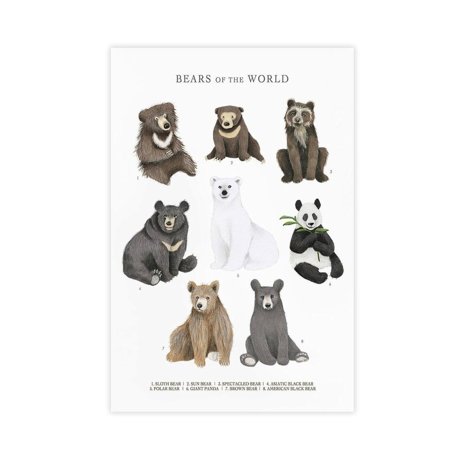 Bareronor Bear Conservation Art Poster Canvas Poster Bedroom Decor Landscape Office Room Decor Gift 24" L X 36" W