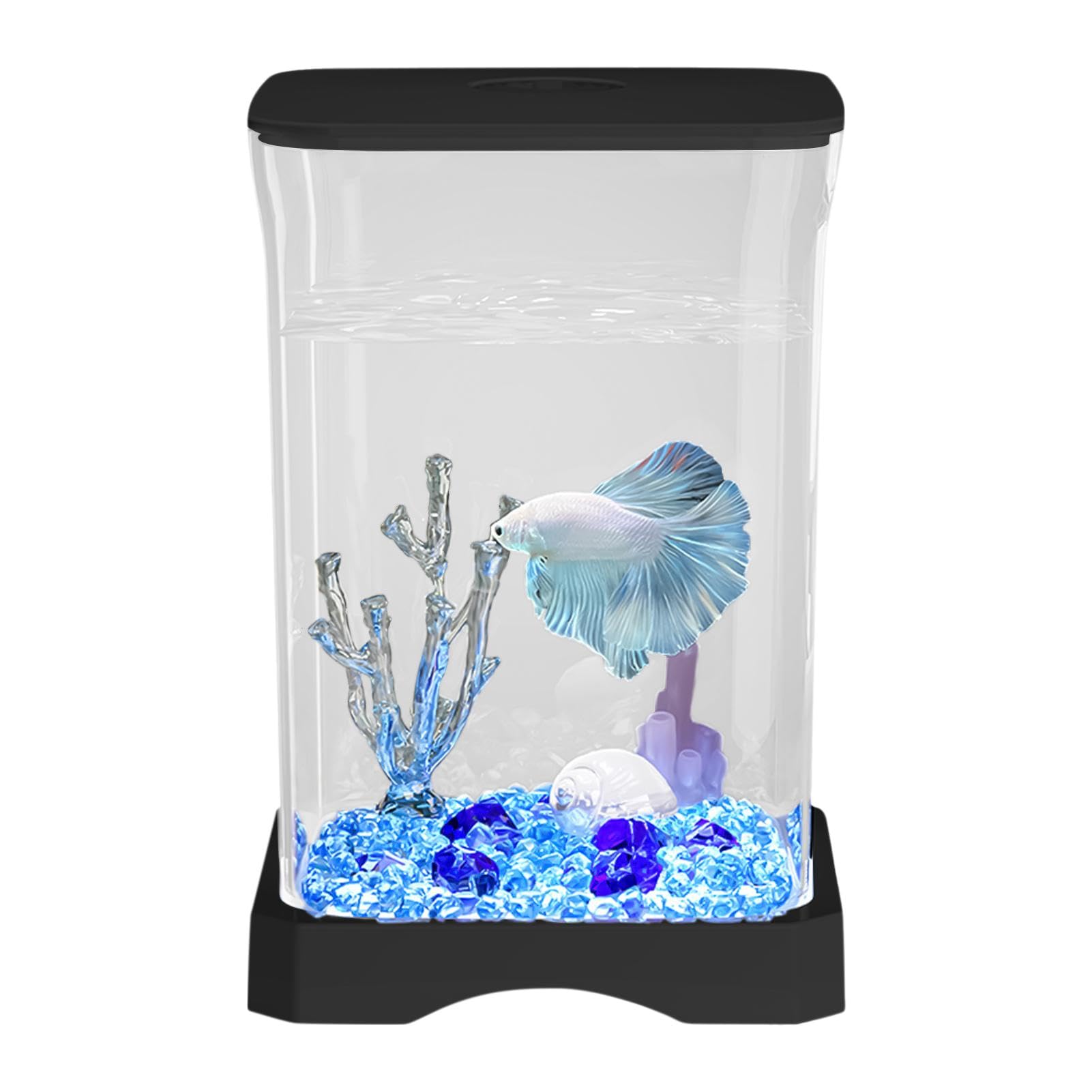 Petit aquarium de bureau apaisant avec éclairage LED pour salon zen