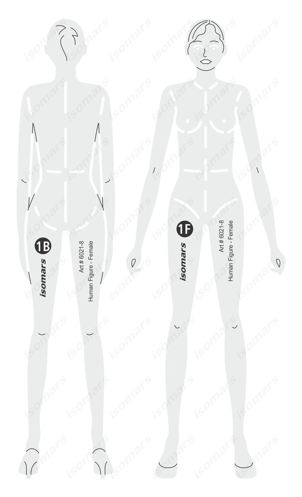 Isomars Female Human Figure Fashion Design Template Stencil | Transparent fashion illustration template with front, back & body proportion guides for fashion sketching, designing students-image-2