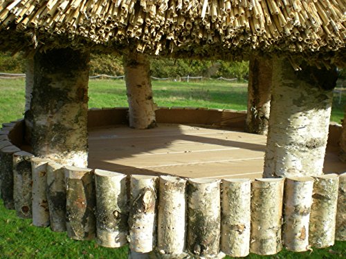 REETDACH VOGELVILLA „Königsberg“ XXL 110×100 Vogelhaus Futterhaus OHNE Ständer - 2