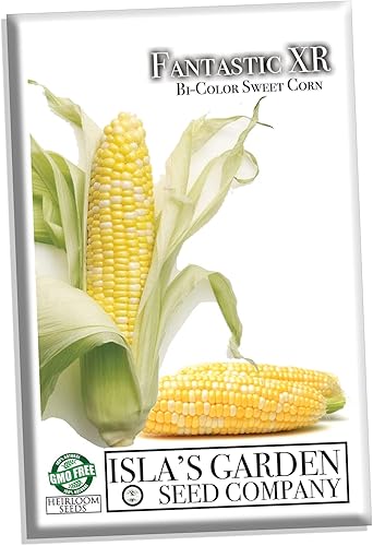 Semillas de maíz dulce bicolor "Fantastic XR" para plantar, más de 50 semillas por paquete, semillas de jardín de Isla (semillas de jardín de Isla),