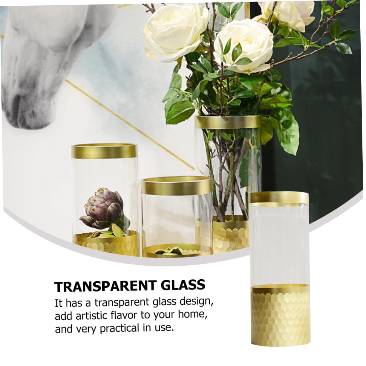 Vase Transparent en Verre pour Culture Hydroponique, Modèle 1 Pièce
