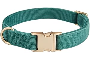 Foggy Dog Collars: Comfort Meets Safety