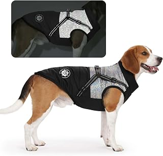 Hundemantel für kleine Hunde, Hundemantel mit Geschirr, Reflektierende Outdoor-Hundeweste, Winter Hundejacke für Katzen, Welpen, kleine, mittlere Hunde
