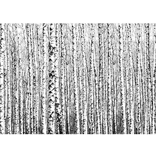 Runa ArtPapel tapiz fotográfico bosque del abedul 352 x 250 cm Lana Fondo De Pantalla XXL Moderna Decoración De Pared Sala Cuarto Oficina Salón Negro y blanco 9288011a