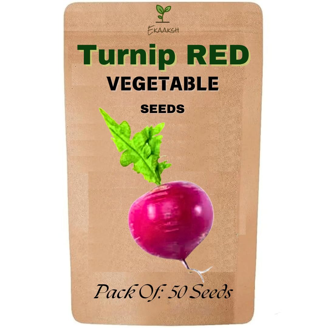 Ekaaksh - Turnip Red Seeds + Free Seed Germination Paper + Planting Guide - New Seeds with Test Result - Best for Pots, Terrace & Kitchen Gardening-image-22