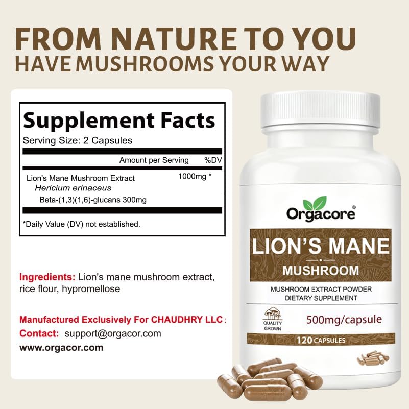 Miniatura 6 de Cápsulas orgánicas de extracto de hongo melena de león Suplemento de setas de melena de león real para la concentración