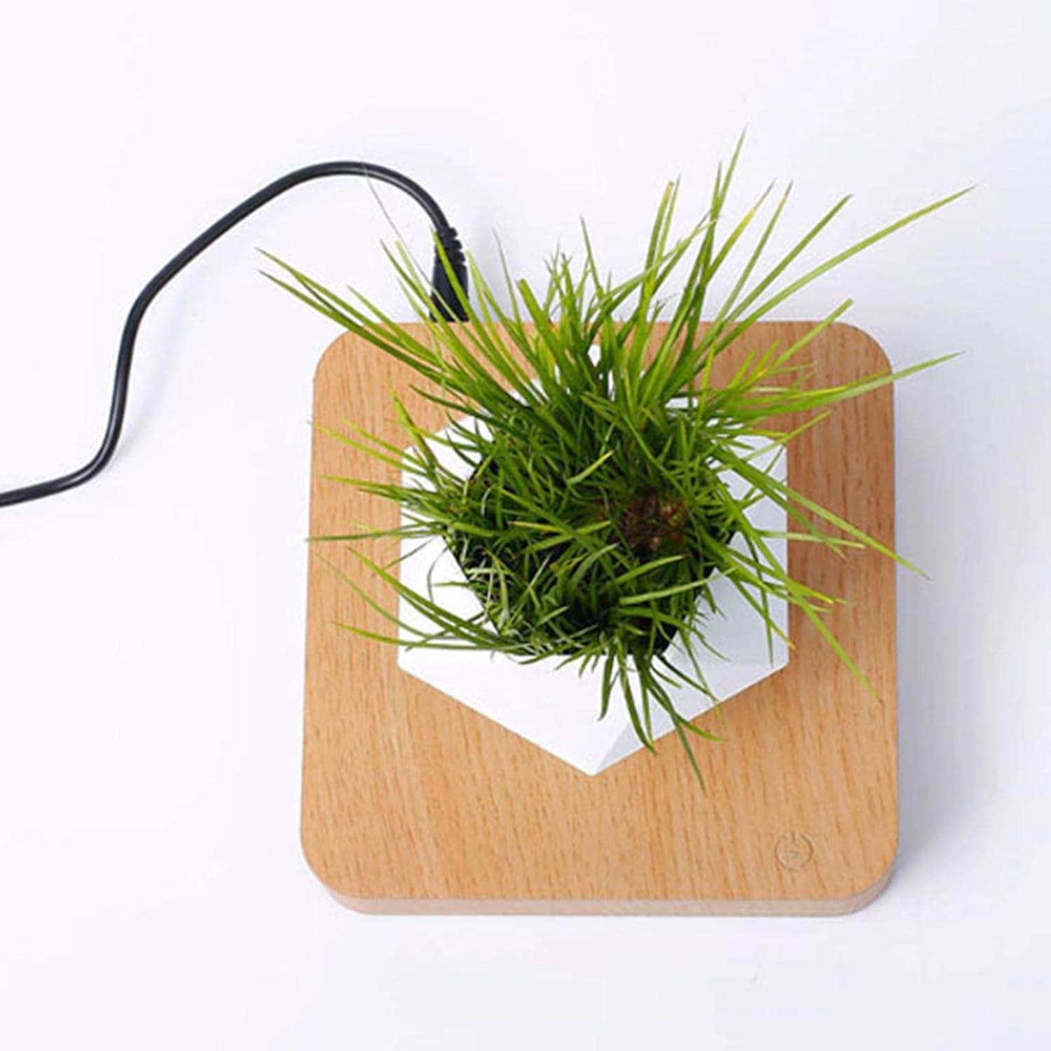 LYLA Levitating Air Plant Pot Bonsai Suspension Floating Flower Pot