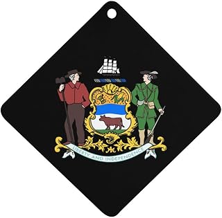 Coat of Arms of Delaware Car Air Freshener Aromatherapy Tablets 1Pcs Hanging Fragrance Auto Interior Decoration Accessories