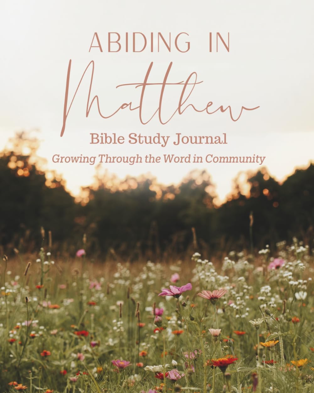Abiding in Matthew Bible Study Journal: Growing through the Word in Community