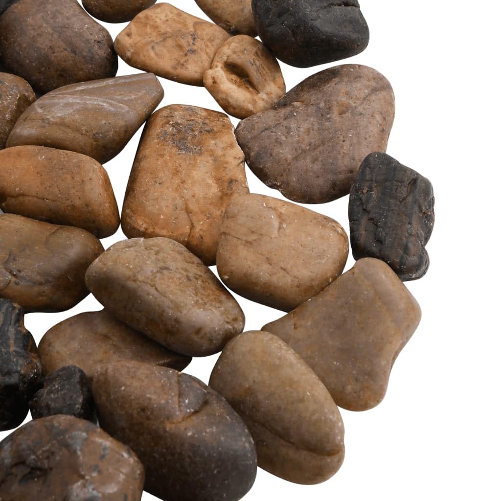 Galets polis 10 kg Multicolore 2-5 cm pour jardin
