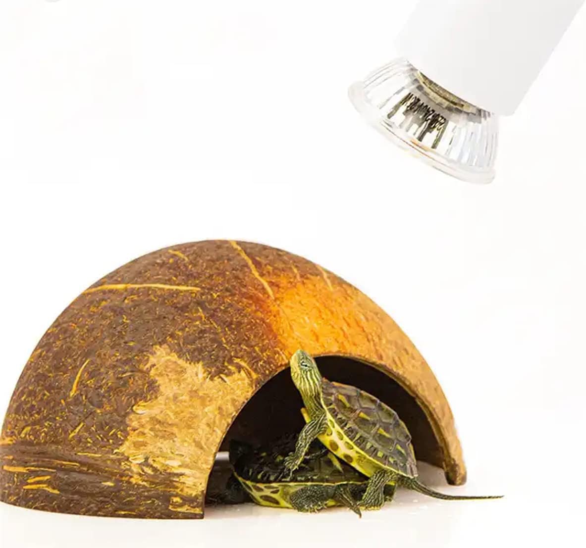 Lampada Solare UVA UVB a Spettro Completo Lampada Termica per Prendere Il Sole/Lampadina/Luce per Acquario Tartaruga Lucertola Anfibio Habitat