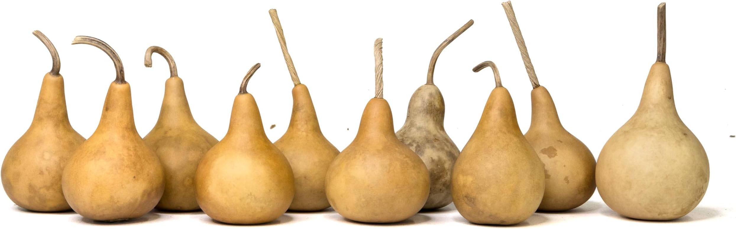 Box of 10 Dried Martin Gourds - 2" Diameter, Gourds for Crafting and Decorating