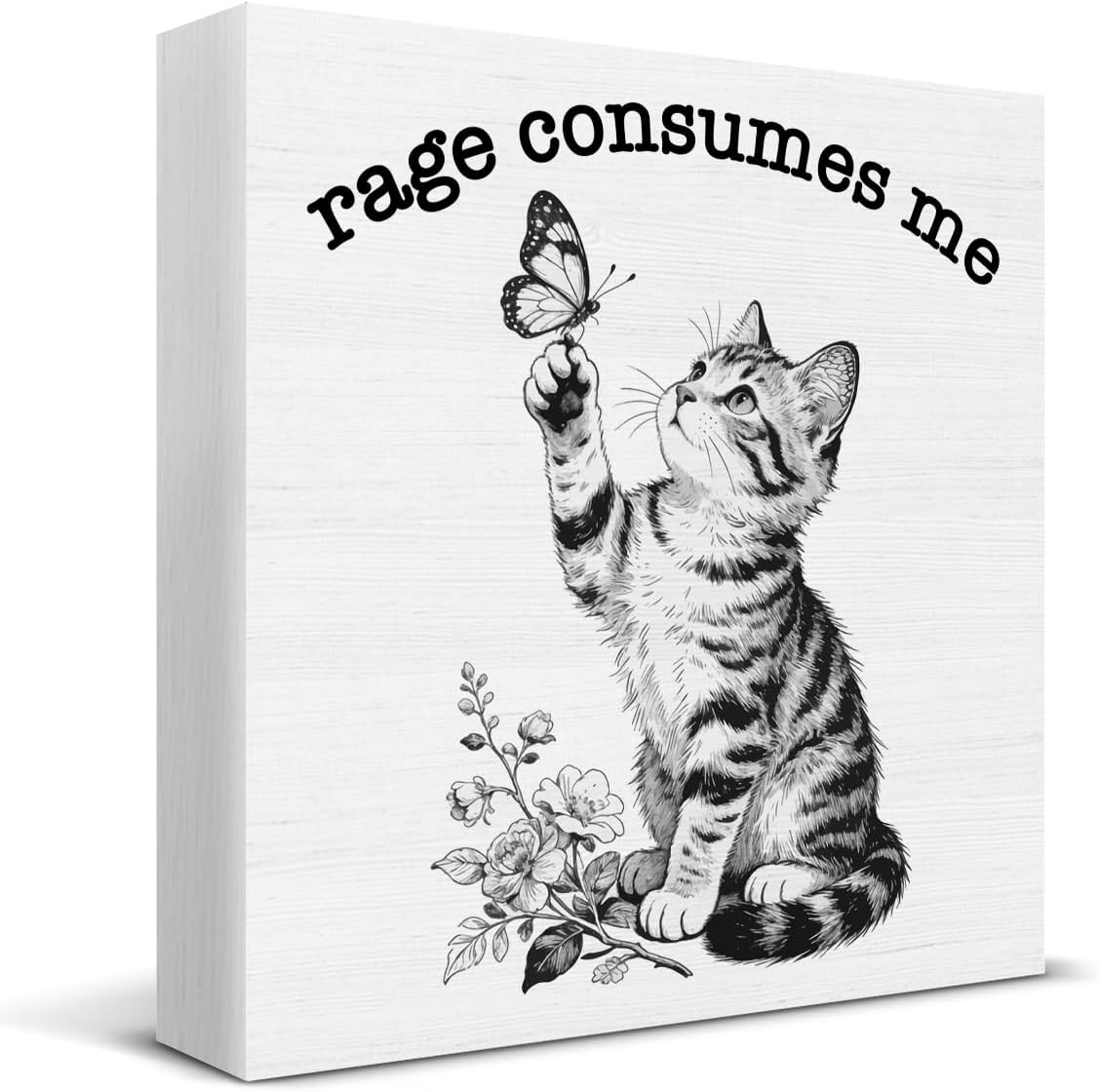 Funny Cat Decor, Rage Consumes Me Cat Wood Box Sign 5×5 Inches
