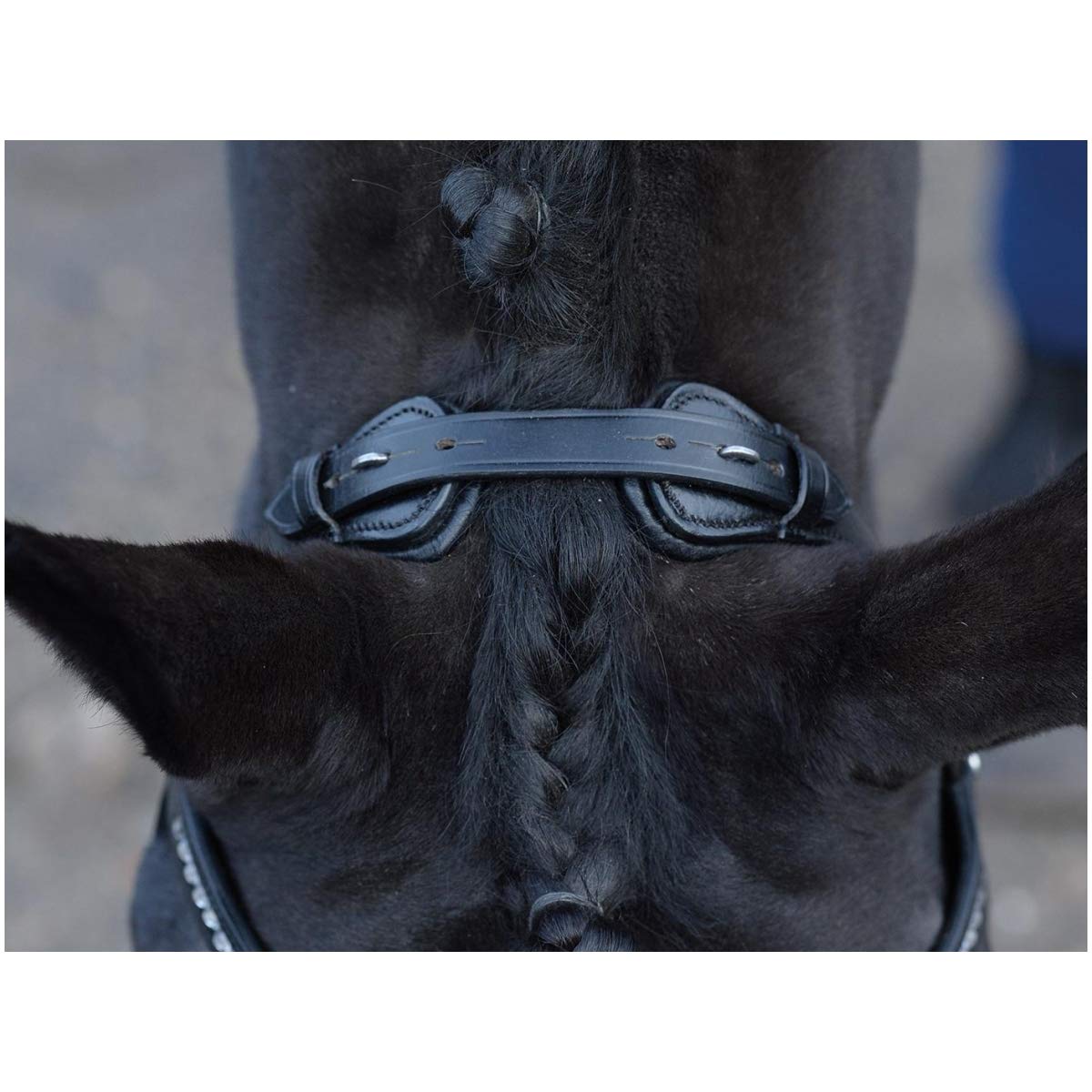 Busse William Hunter Equestrian Emotion - Brida para caballo (cristal), color negro y blanco