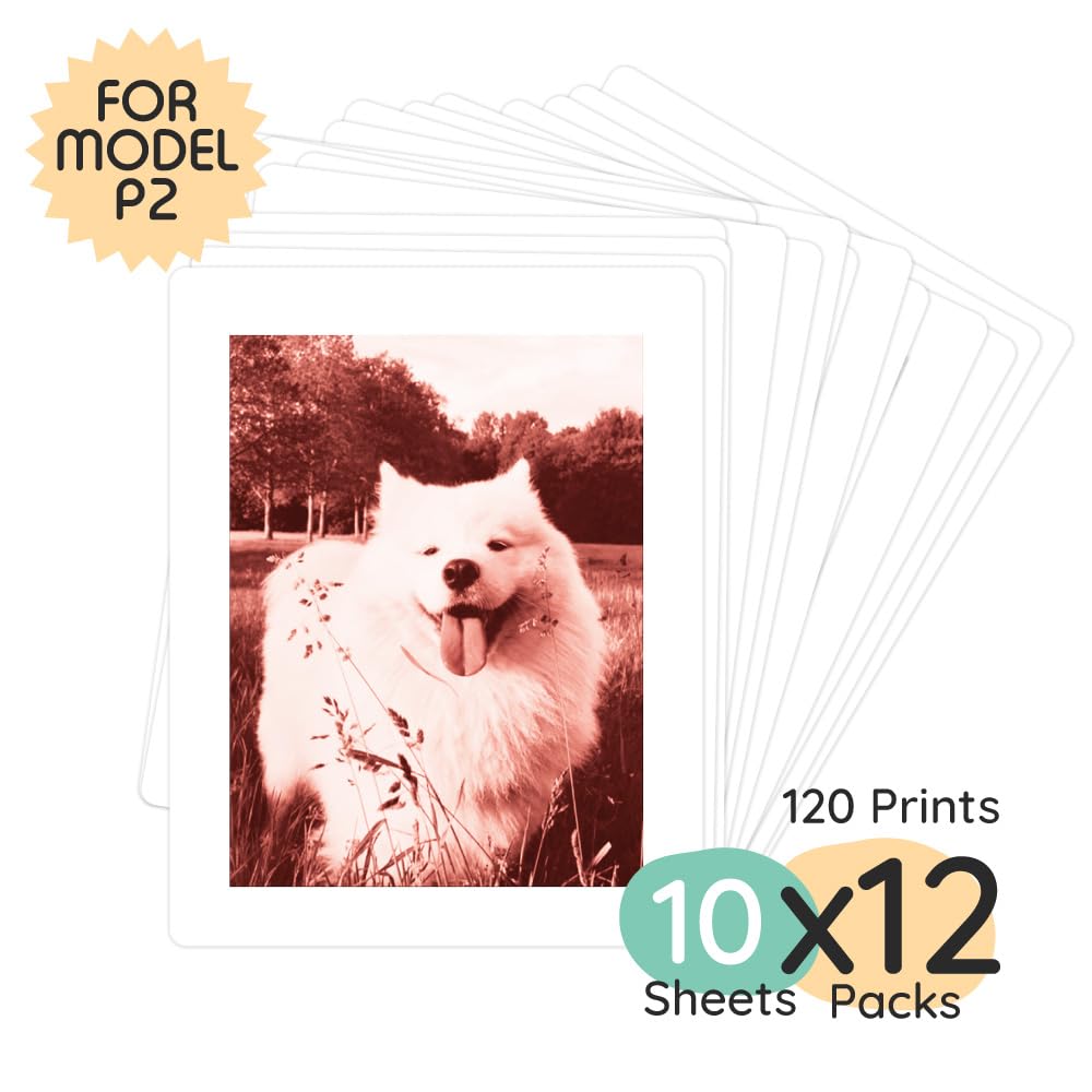 kiimento Print Pack per fotocamera a stampa istantanea P2, confezione risparmio 120 stampe, schede termiche senza inchiostro, verticali 78 × 56 mm, senza BPA e BPS, stili misti: senza tempo, oro