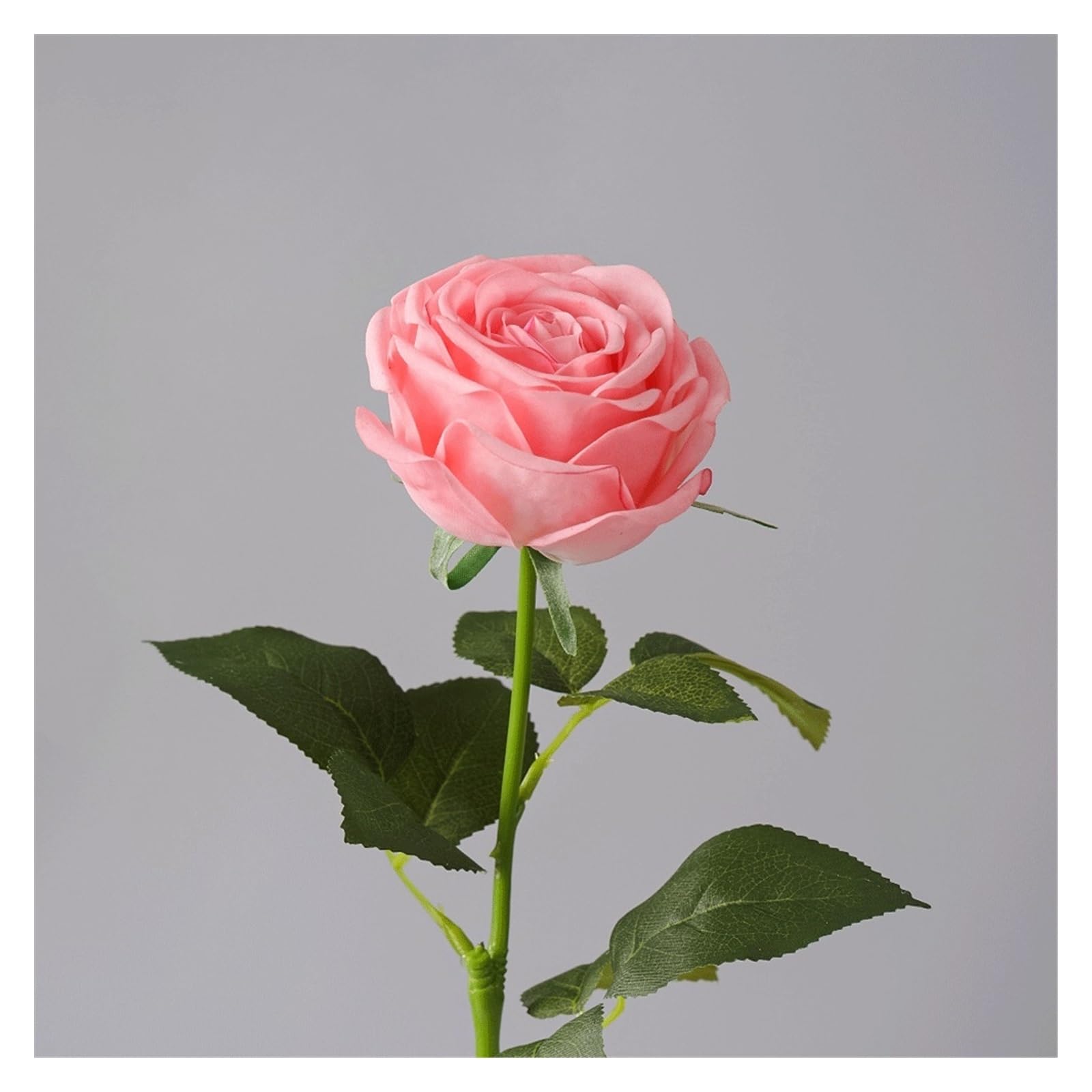 Grande rose de thé artificielle pour photographie de maison