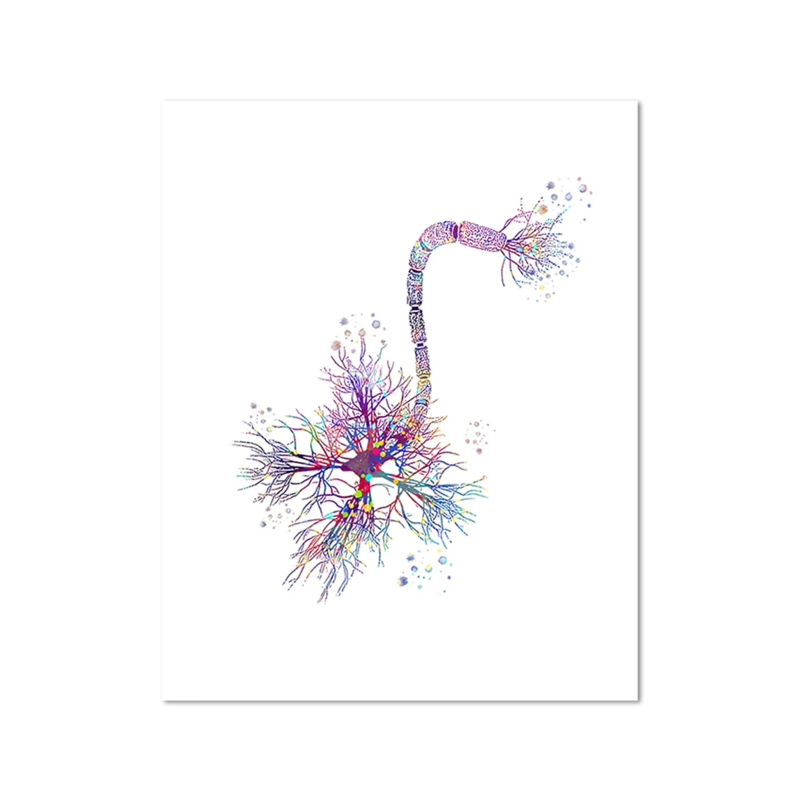 1 Szt. Neuron Akwarela Neurologia Ścienny Plakat Artystyczny Drukuj Anatomia Mózgu Medycyna Obraz Na Płótnie Synapse Clinic Room(C,40x50cm)