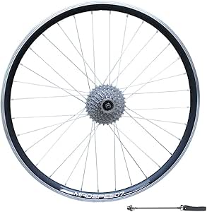 etrto 622x19 rim