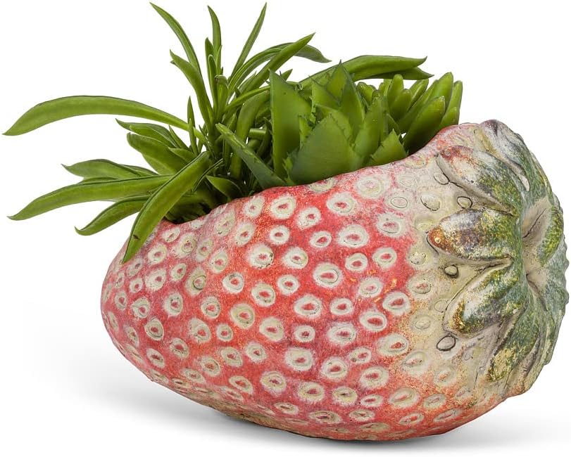 Abbott Collection Laying Strawberry Planter - Cement, Pink (4" H)