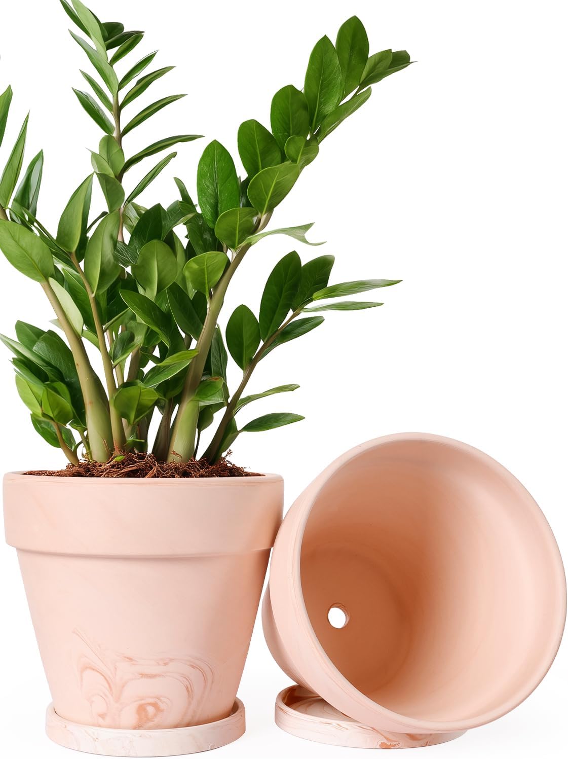 INGOFIN Terracotta Plant Pots 8 Inch Set of 2, Red White Clay Flower Pots with Drainage Holes & Tray Saucers, Breathable Garden Planters for Indoor Outdoor, Succulent, Cactus, Herbs