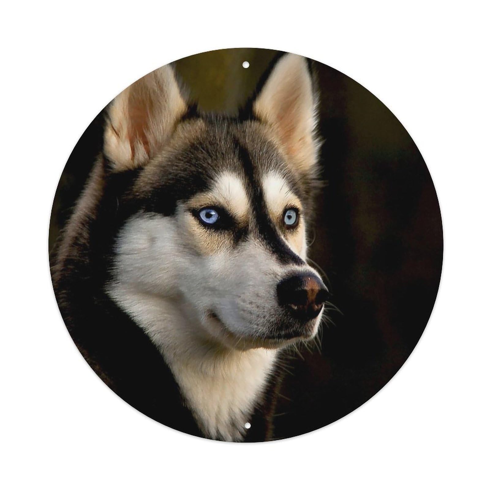 Siberian Husky Poster Sled Dog Metal Tin Sign