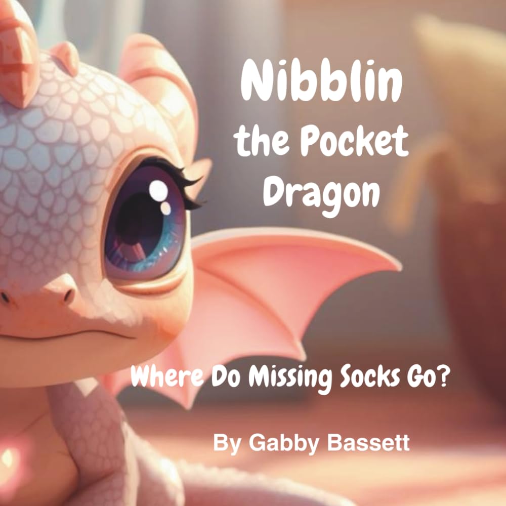 Nibblin the Pocket Dragon: Where do missing socks go?
